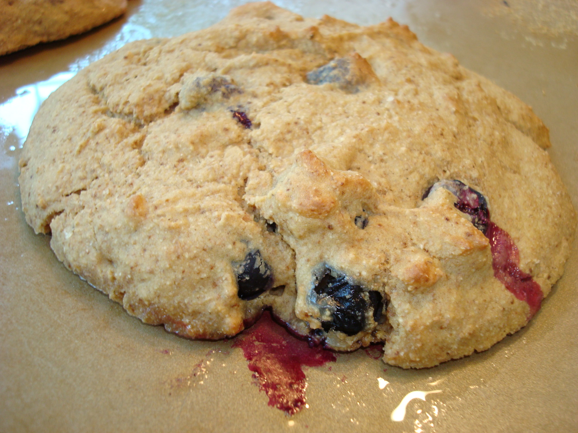 Blueberry Blog to much  : Oatmeal powder Baked baking pancakes  how Pancakes Healthandfoodforum's make Oven